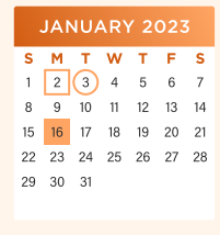 District School Academic Calendar for Hutto High School for January 2023