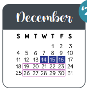 District School Academic Calendar for Schultz Elementary for December 2022