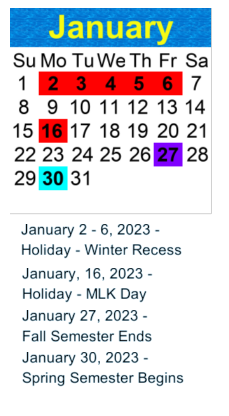District School Academic Calendar for Willard Elementary for January 2023
