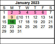 District School Academic Calendar for Travis El for January 2023