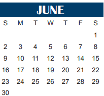 District School Academic Calendar for Wichita County Juvenile Justice Ae for June 2024