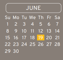 District School Academic Calendar for Carter Academy for June 2025