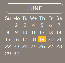 District School Academic Calendar for Aldine Ninth Grade School for June 2025