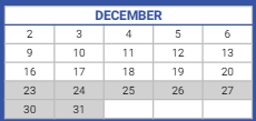 District School Academic Calendar for Cuffe Math-sci Tech Elementary Academy for December 2024