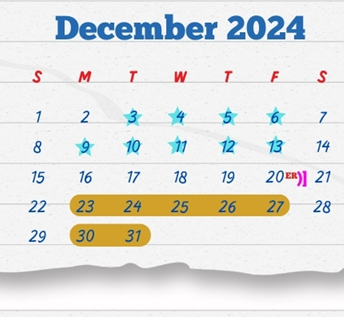 District School Academic Calendar for J C Martin Jr Elementary School for December 2024