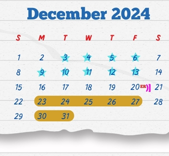 District School Academic Calendar for F S Lara Academy for December 2024