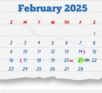 District School Academic Calendar for F S Lara Academy for February 2025