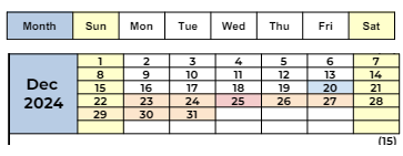 District School Academic Calendar for Delta View Elementary for December 2024