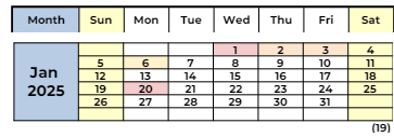 District School Academic Calendar for Delta View Elementary for January 2025