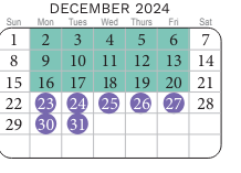 District School Academic Calendar for Center For Effective Learning Alt Ed Ctr for December 2024