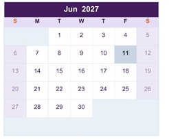 District School Academic Calendar for Chelsea High School for June 2027