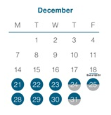 District School Academic Calendar for Steele Elementary School for December 2026