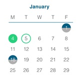 District School Academic Calendar for Steele Elementary School for January 2027