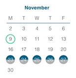 District School Academic Calendar for Steele Elementary School for November 2026