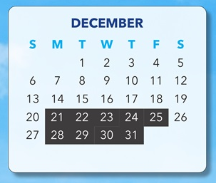 District School Academic Calendar for Lyons School for December 2026